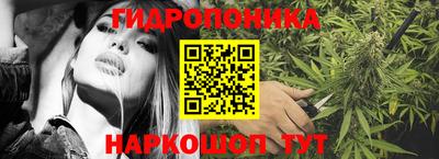 индика Кимры