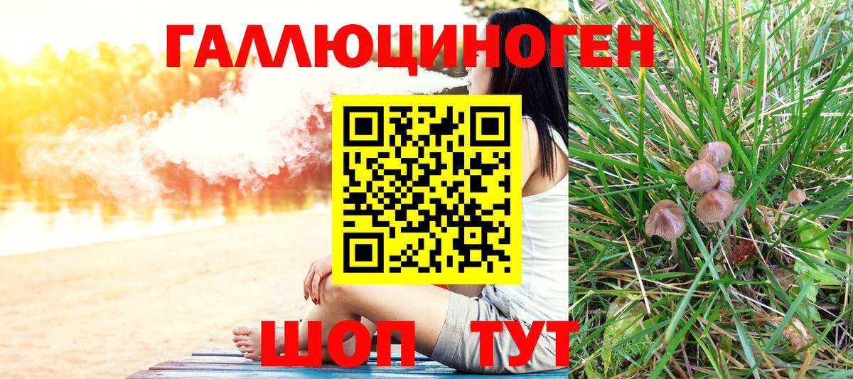 Краснознаменск  Псилоцибиновые грибы GOLDEN TEACHER  Вход с VPN 