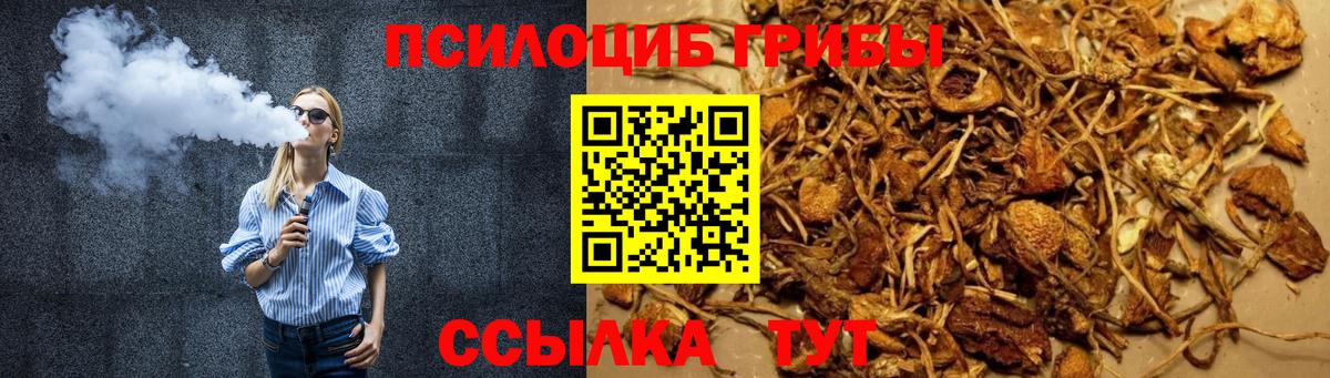 Галлюциногенные грибы ЛСД Краснознаменск